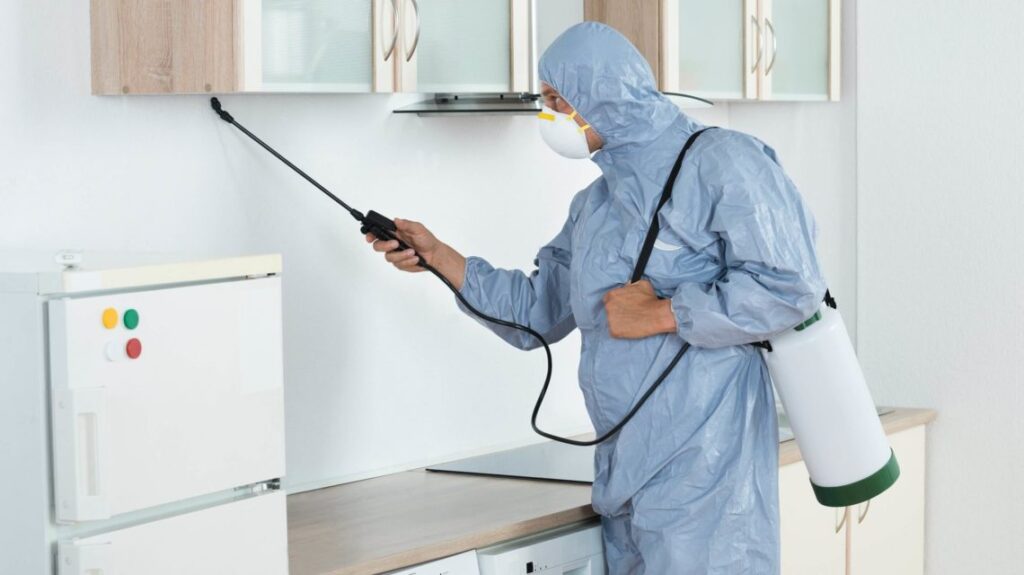 افضل شركة مكافحة حشرات وتعقيم