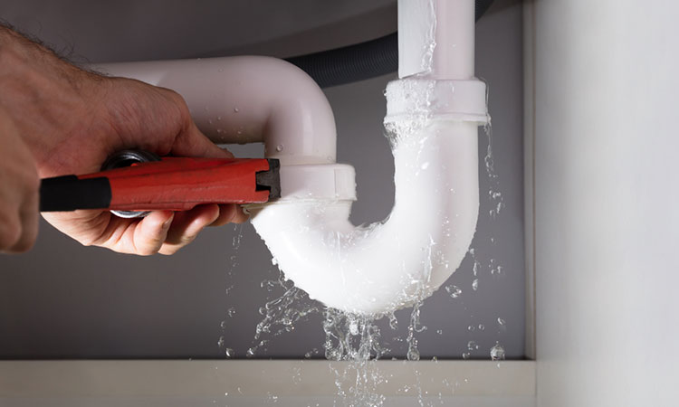 شركه كشف تسربات مياه بخميس مشيط