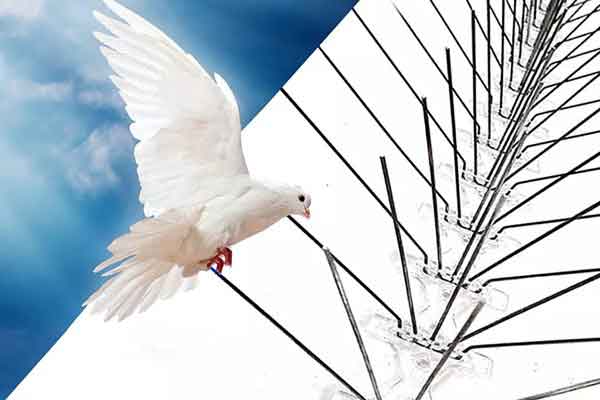 شركه طارد حمام بخميس مشيط