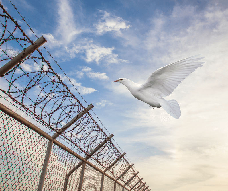 شركه طارد حمام بخميس مشيط