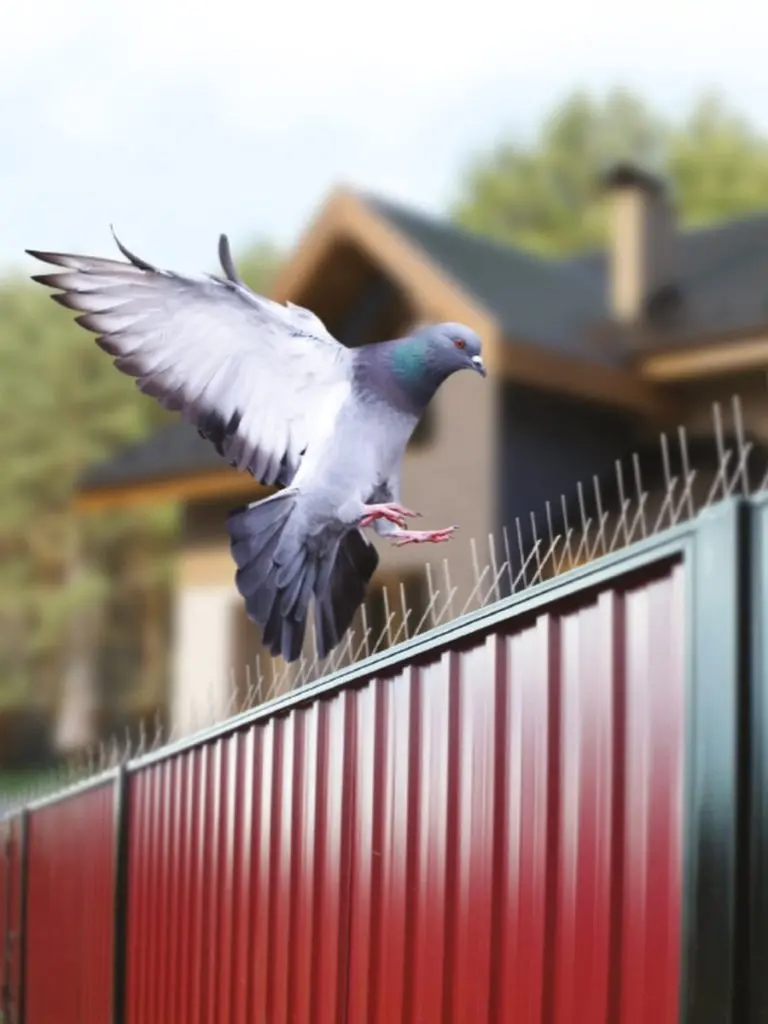 شركه طارد حمام بأبها